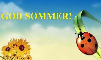 Sommer.jpg