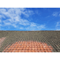 628-52_Rel Algefjerner2.png